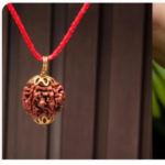 7 Mukhi Rudraksha